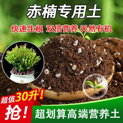 赤楠专用土家用盆栽土绿植通用营养土养花轻质蓬松花泥有机肥料