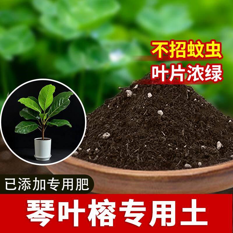 琴叶榕专用土发酵种花泥土疏松琴叶榕专用营养土绿植物种菜土花卉