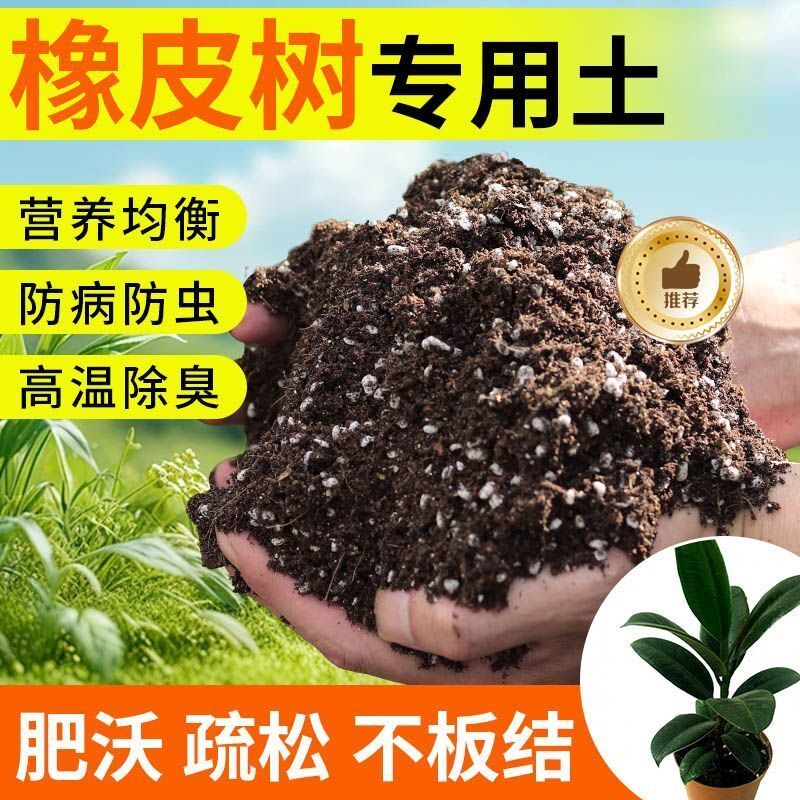 橡皮树种植土壤专用营养土盆栽土种花养花土多肉育苗土君子兰花土