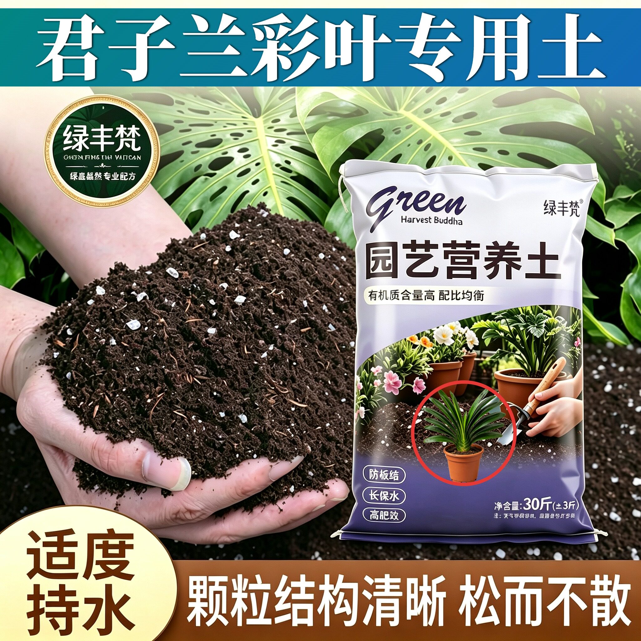 君子兰彩叶专用腐叶土疏松透气腐殖泥炭土盆栽大包天然防黄叶喜酸