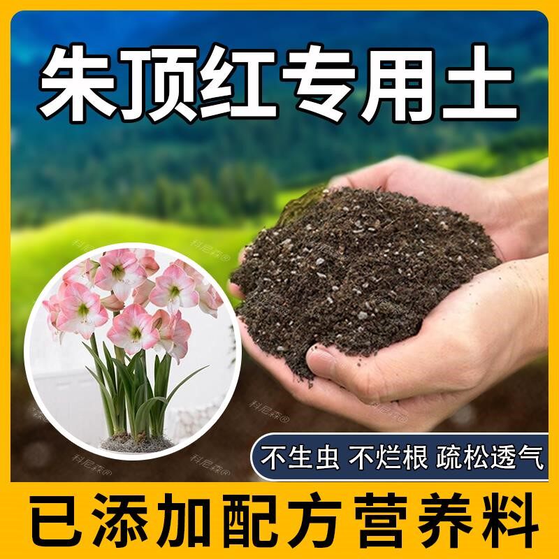 朱顶红专用土种植绿植家庭有机土蓬松泥土朱顶红专用肥料阳台室内