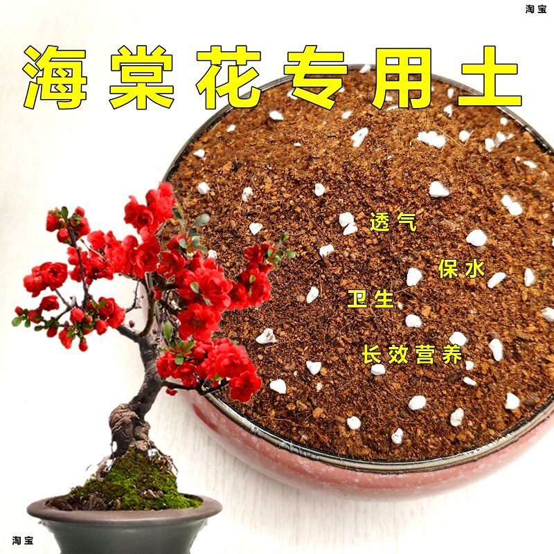 海棠花专用土通用型家庭园艺培养土壤弱酸性盆栽花卉植料花泥促销