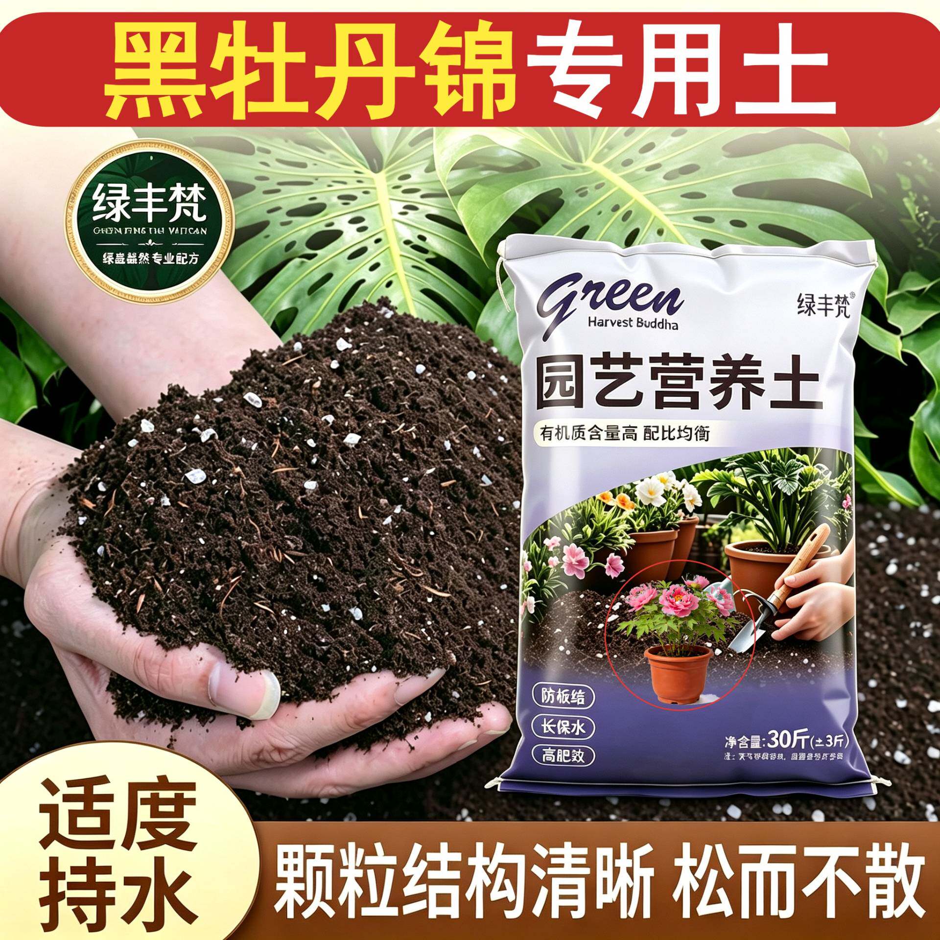 黑牡丹锦适用种菜土不板结扦插加牛粪精选促生长喜酸家庭园艺园艺