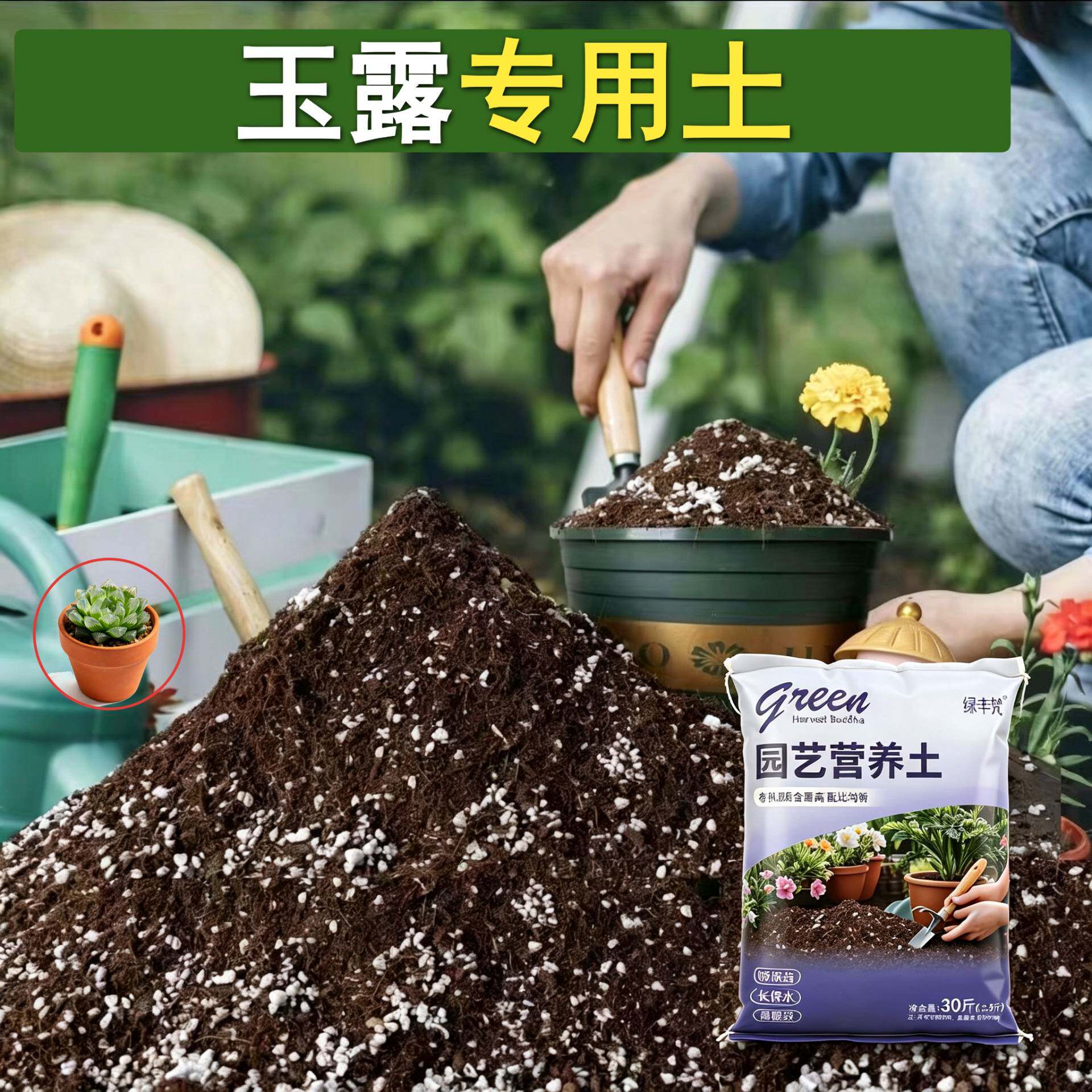 玉露专用栽培土高温腐熟不烂根园艺加牛粪有机防黄叶喜酸有机土