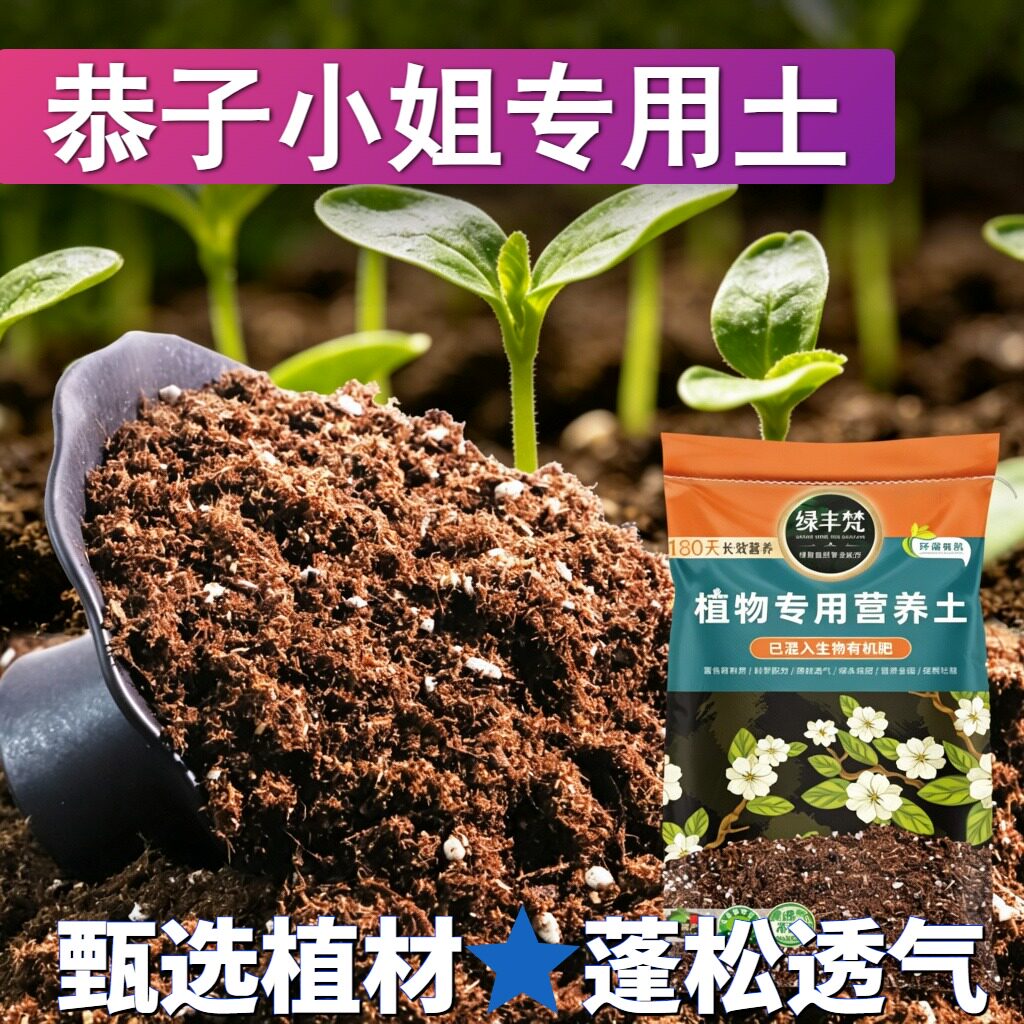 恭子小姐适用腐殖土蓬松多孔花卉种植土无菌舒缓根系无草籽木本