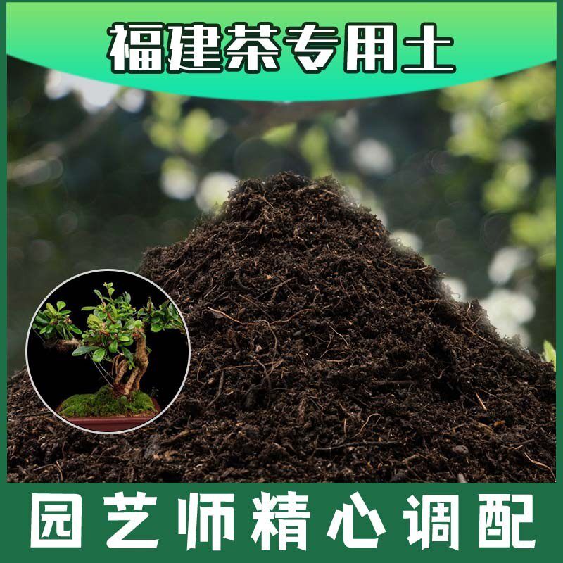福建茶专用土腐殖土种花养花盆栽土福建茶营养土肥料种植有机土壤