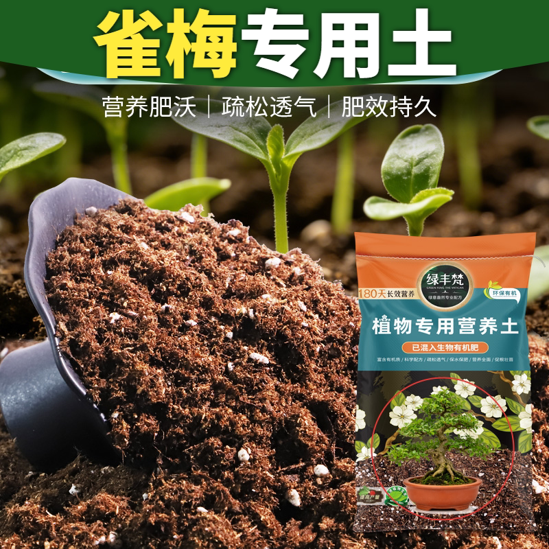 雀梅适用多肉专用土腐叶基底蔬菜种植老桩栽种绿植分盆播种适用