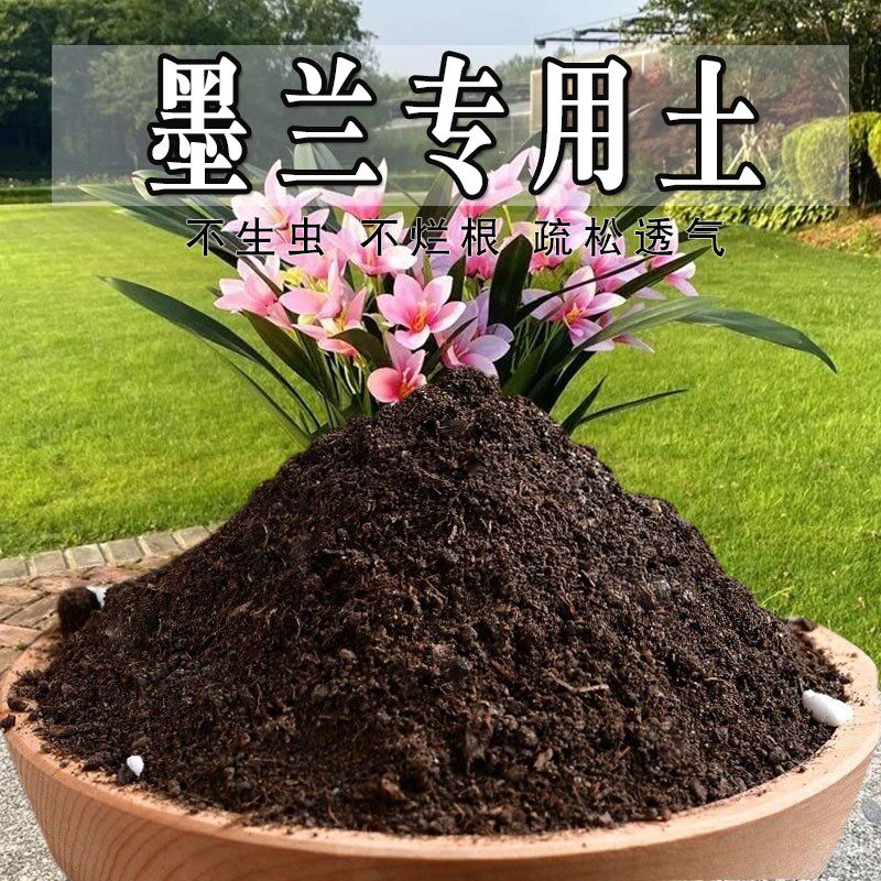 墨兰专用土种花盆栽花卉室内疏松阳台墨兰专用营养土土壤绿植植物