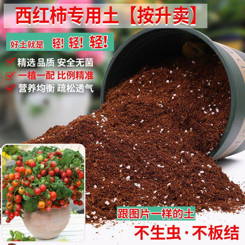 西红柿专用土番茄轻质土专用营养土泥土番茄盆栽土种植通用有机土