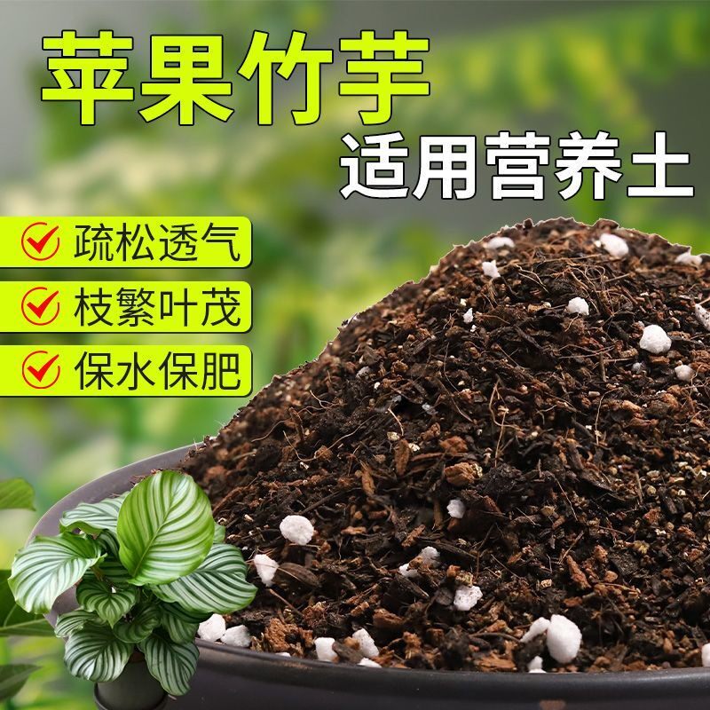 【苹果竹芋专用土】疏松透气盆栽绿植专用室内植物有机营养土肥料
