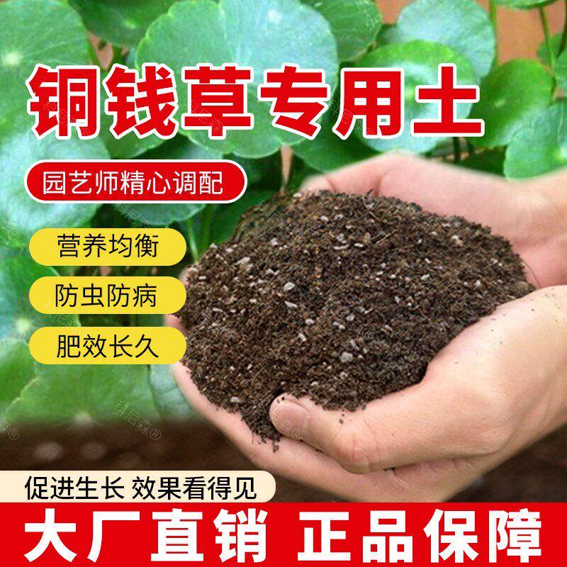 铜钱草专用土肥料育苗花土椰砖泥土蓬松天然铜钱草营养土园艺花盆