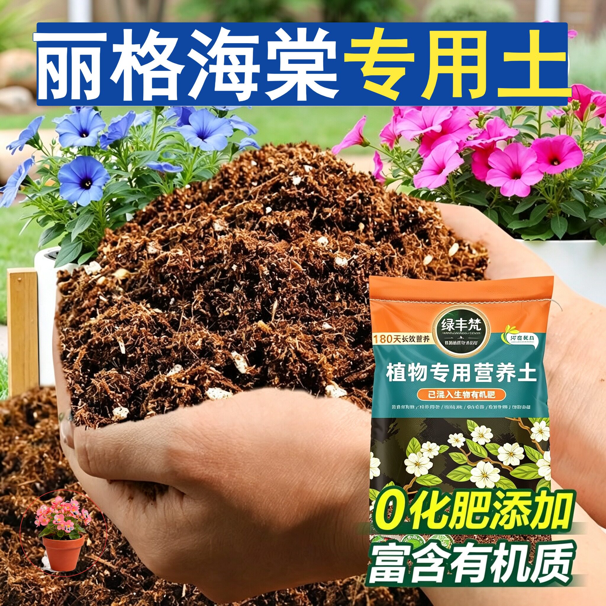 丽格海棠专用种植土蓬松多孔扦插盆栽土天然优化根际无草籽观叶