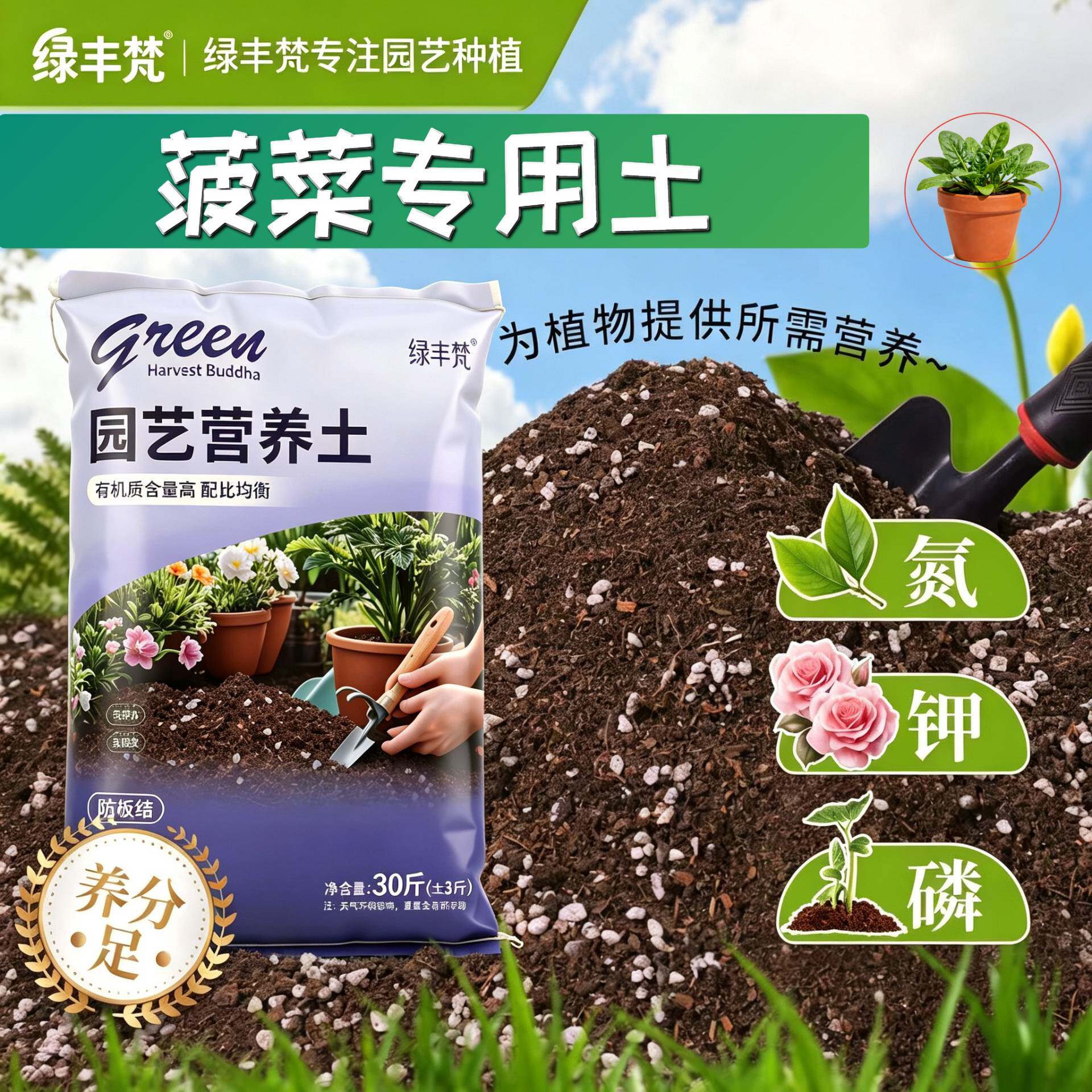 菠菜适用进口泥炭土高温灭菌花园加有机肥有机促生长球根有机土
