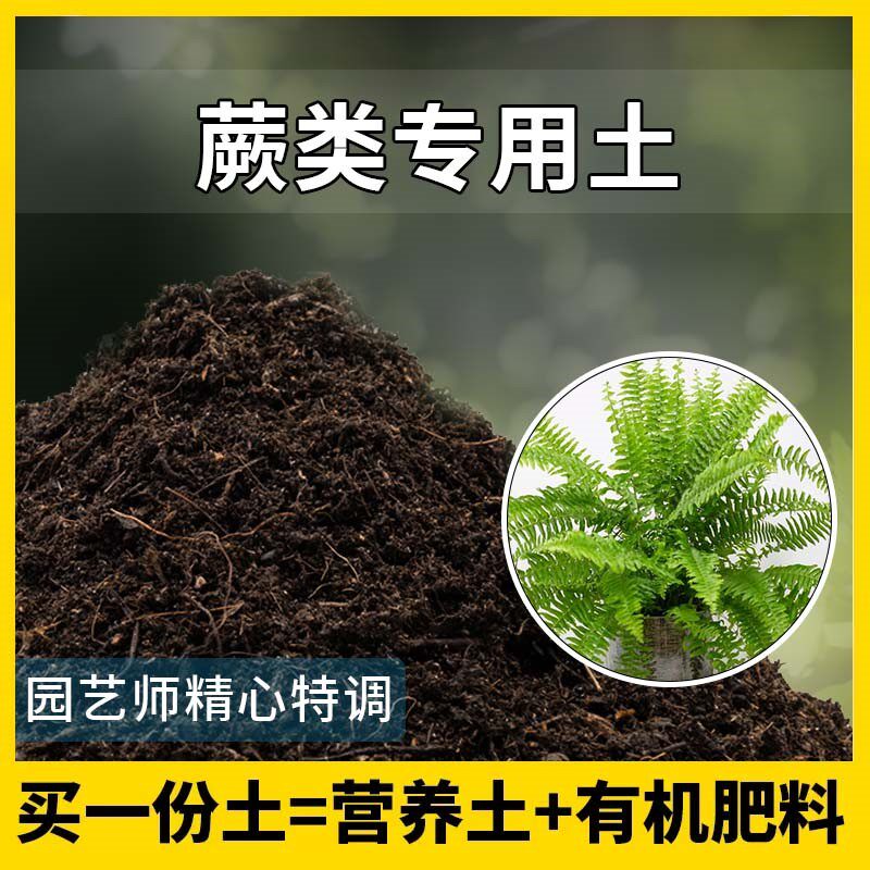 蕨类专用土蕨类植物优质土家用盆栽营养土酸性沙质土壤绿植种植土