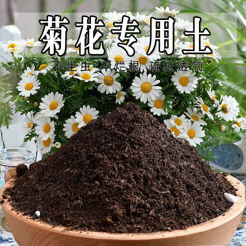 菊花专用土盆栽养花种花土雏菊花营养土通用有机肥料种植酸性土壤