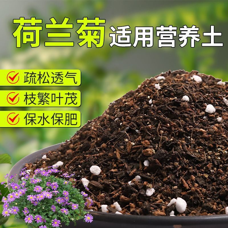 【荷兰菊专用土】疏松透气盆栽绿植专用室内植物有机营养土肥料