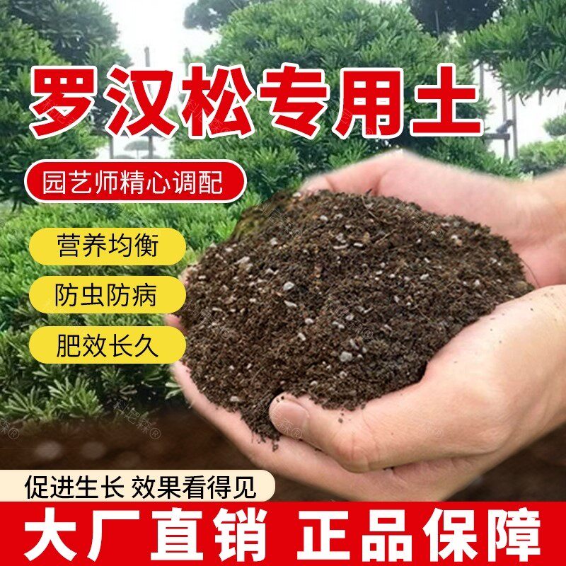 罗汉松专用土肥料罗汉松营养土植物种植花盆有机土养花天然室内