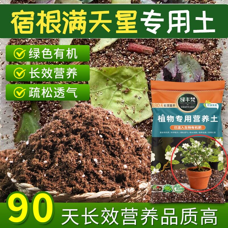 宿根满天星专用基质干净无杂盆栽土原料甄选留存肥力家用装多肉