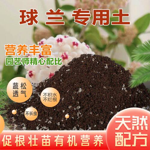球兰专用土营养土盆栽种植土进口泥炭土壤肥料 疏松透气 无病虫害