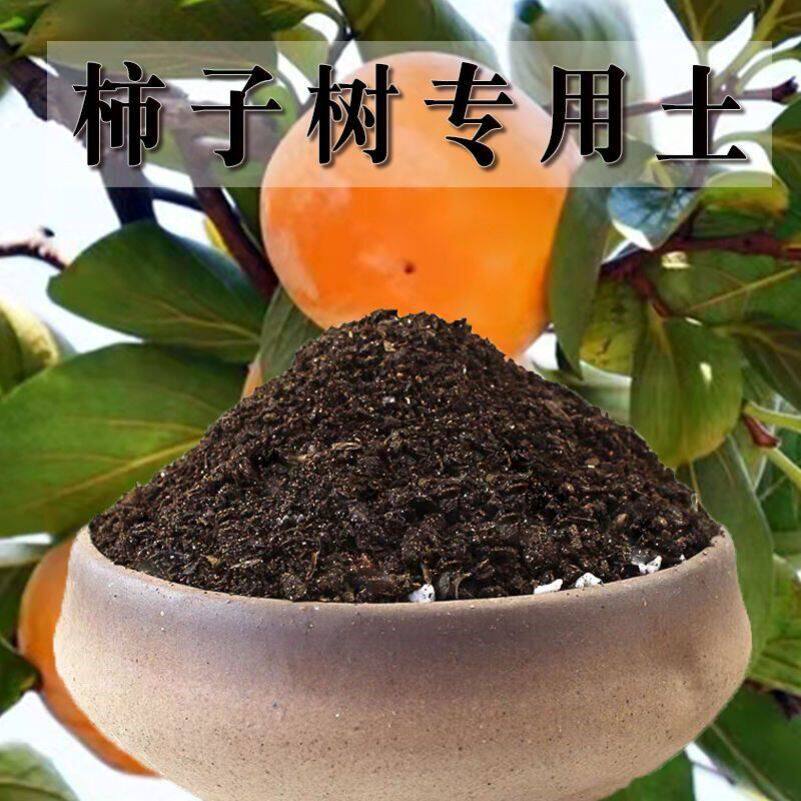 柿子树专用土盆栽果树柿子树营养土庭院果树通用土有机肥料种植土