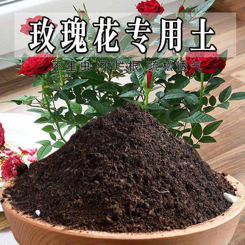 玫瑰花专用土阳台盆栽土壤植物家用芦荟专用营养土花盆有机土肥料