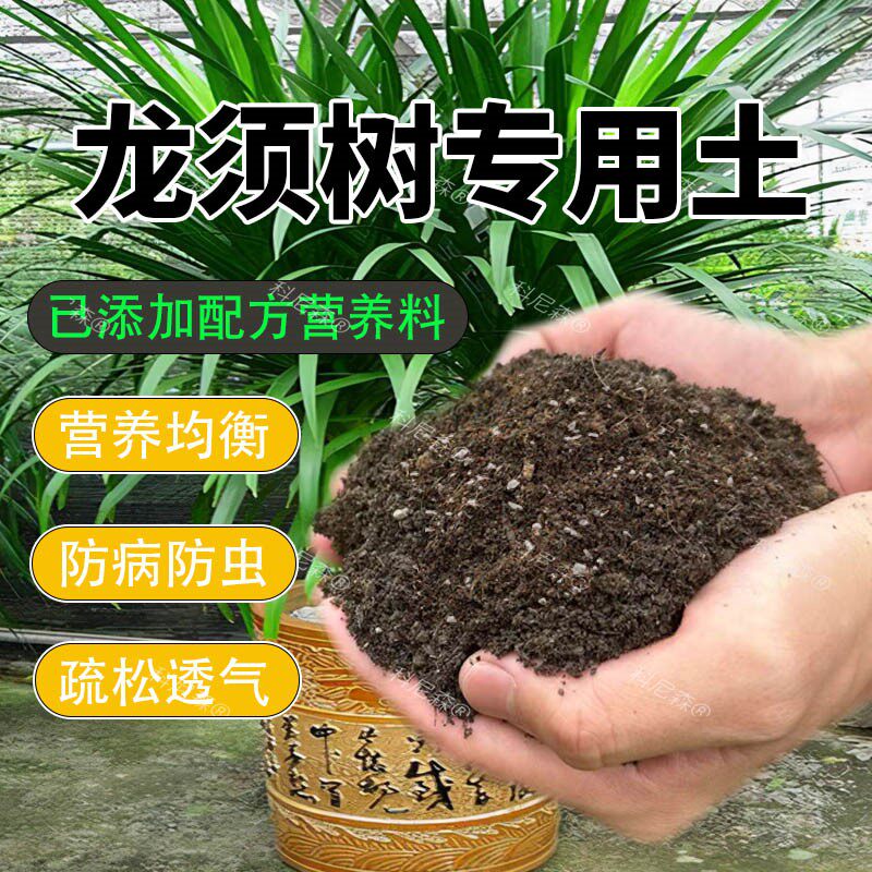 龙血树专用土种龙须树营养土蓬松透气泥土无菌土壤专用肥料种植土