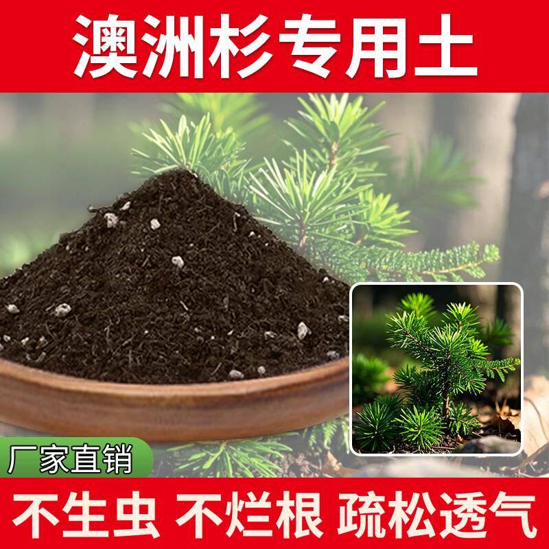 澳洲杉专用土发酵园艺土壤栽培土室内通用型盆栽专用土花草花园