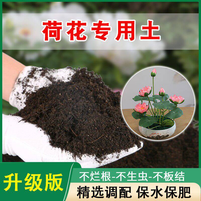 荷花碗莲专用泥土塘泥铜钱专用土淤泥有机莲花泥池塘泥养花营养土