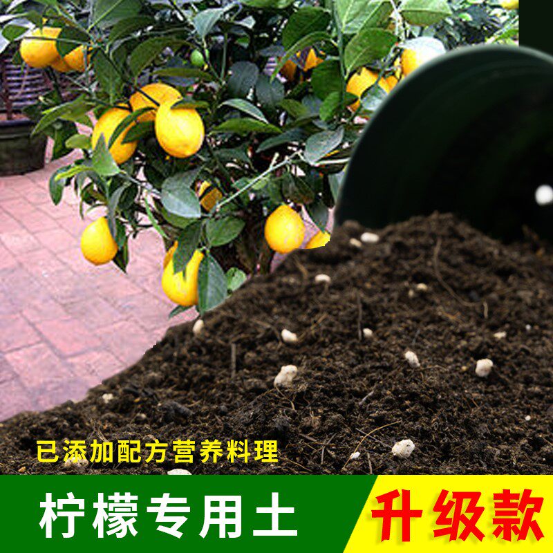 柠檬树专用土香水柠檬营养土盆栽果树专用土泥土肥料专用肥种植土