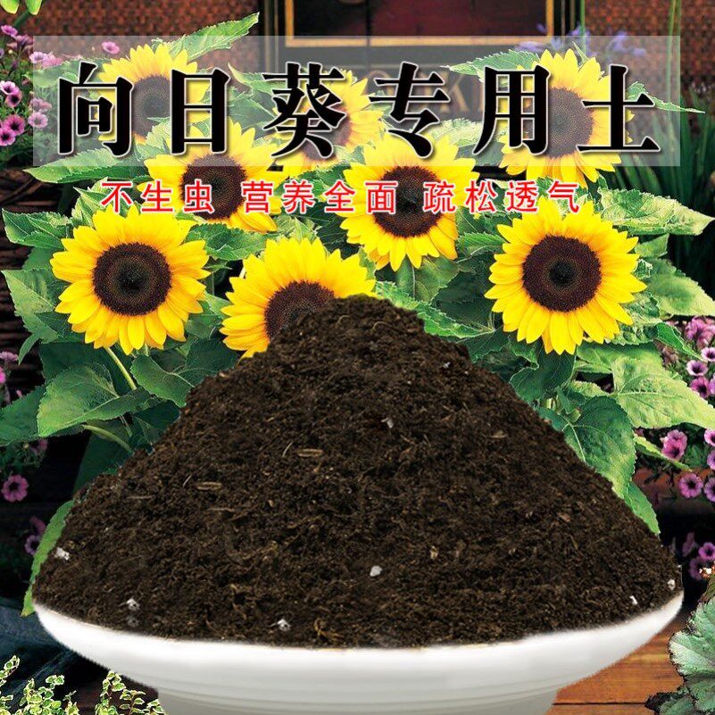 向日葵专用土向日葵土盆栽种植土壤营养土种花泥土透气陶粒养花土