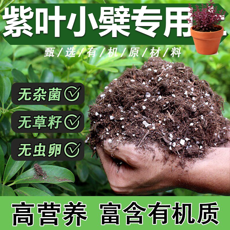 紫叶小檗专用扦插基质酸碱适中新手养花体验款园土大包装小院种菜