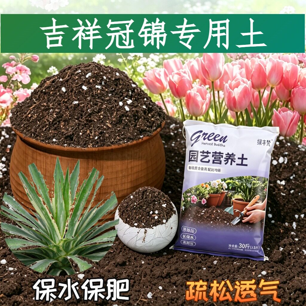 吉祥冠锦专用进口泥炭土防烂根菜园加牛粪进口壮根球根室内育苗
