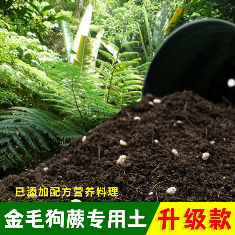 金毛狗蕨专用土有机土肥料家用种植土金毛狗蕨营养土盆栽养花包邮