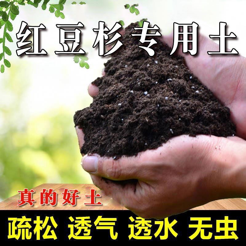 红豆杉专用土盆栽营养土家用养花土壤通用弱酸性泥碳土肥料种植土