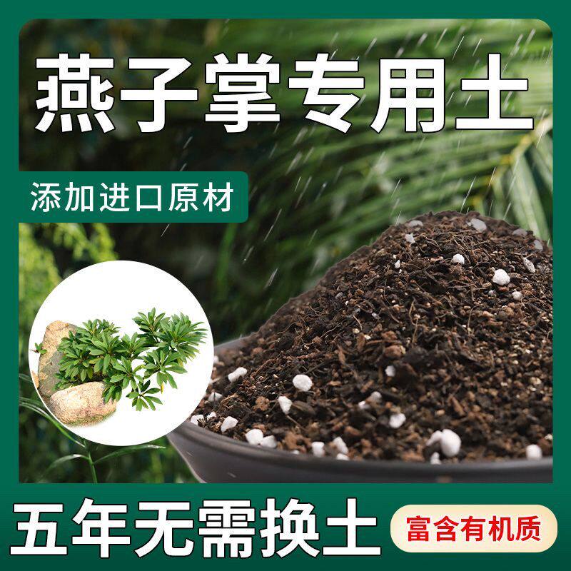 【不生虫】燕子掌适用土疏松透气盆栽绿植专用土室内植物营养土