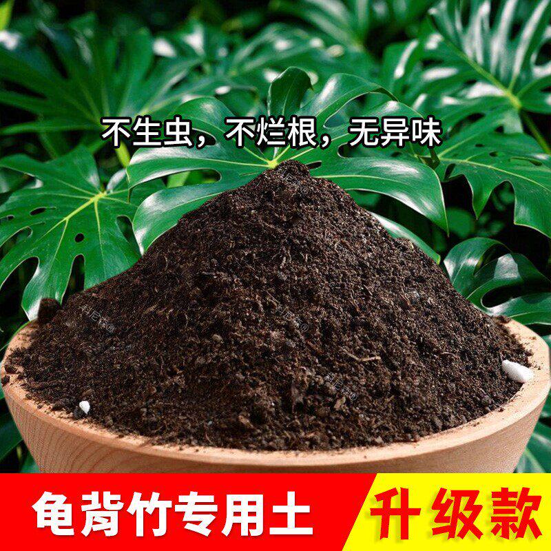 龟背竹专用土龟背竹专用营养土通用土椰砖土阳台有机土室内花肥土