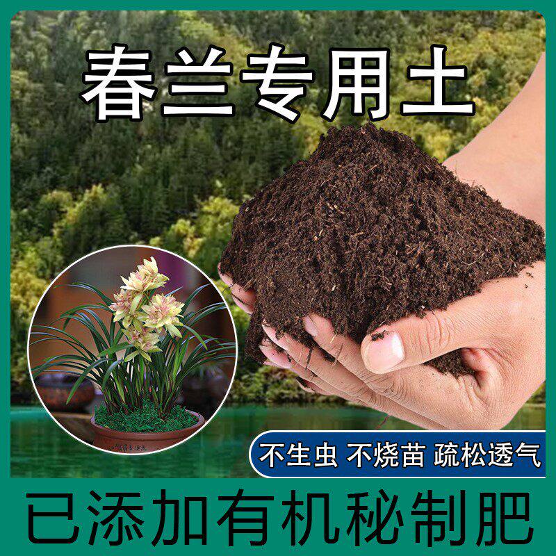 春兰专用土春兰花肥料营养土盆栽土养花种花土通用型种植土壤肥料