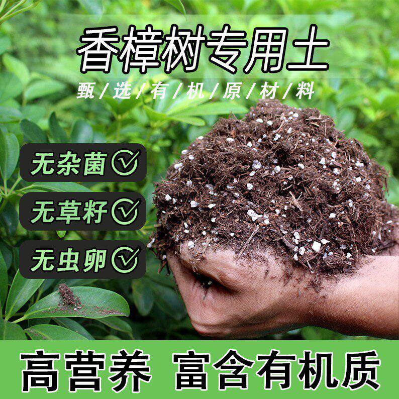 香樟树专用土家用盆栽绿植通用营养土养花轻质蓬松有机花泥肥料土