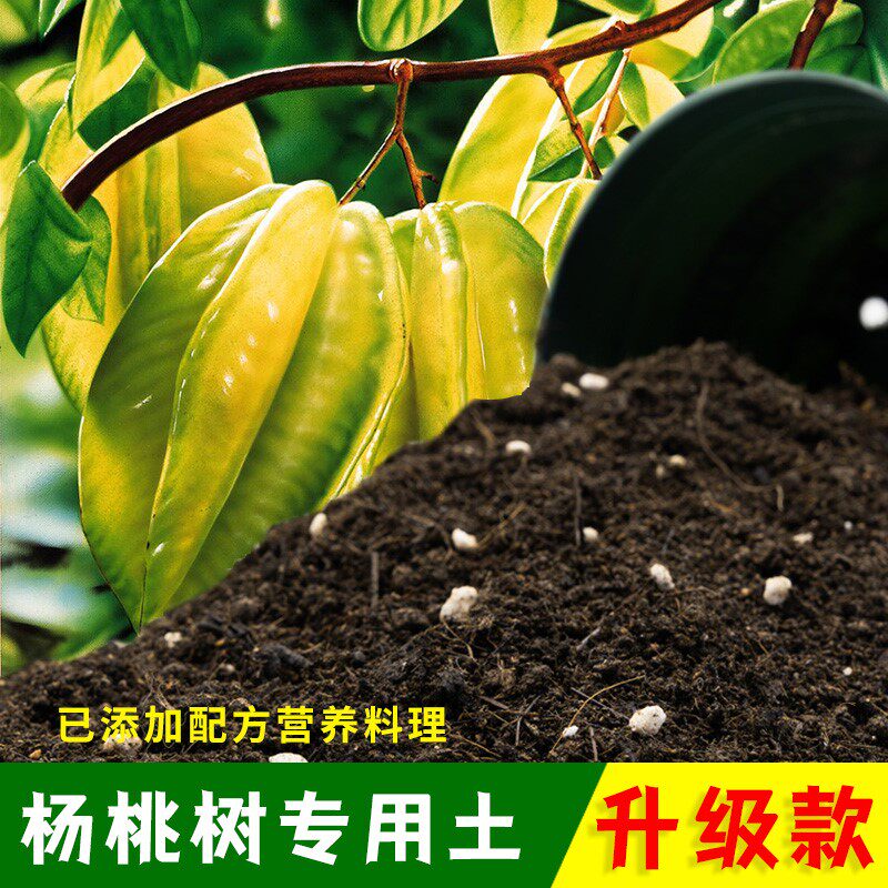 杨桃树专用土杨桃树营养土盆栽果树专用土泥土肥料专用肥种植土壤图片