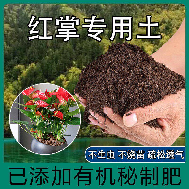 红掌专用营养土肥料盆栽土培栽种植养红掌花土配方土专用肥料土壤