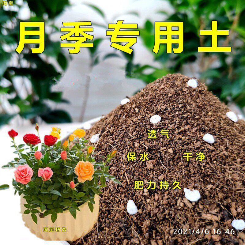 月季专用土蔷薇花爬藤植物通用型营养土欧月花卉盆栽园艺种植土壤