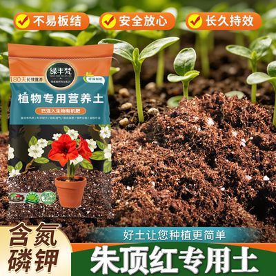 朱顶红专用花卉土室内外通用轻质蓬松花卉四季可用育苗培植三角梅