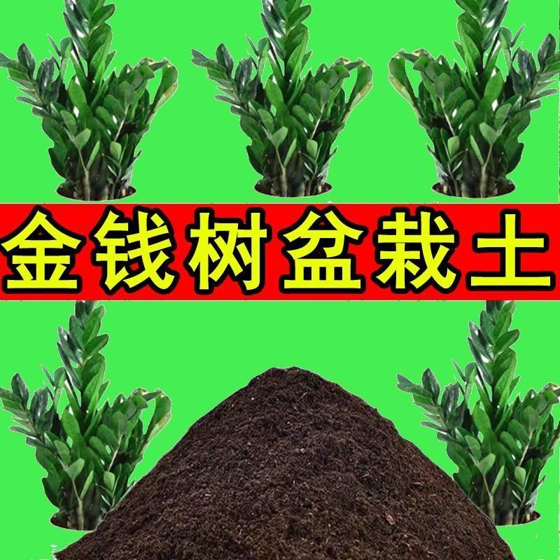 金钱树专用营养土盆栽土种植土室内花卉土种花养花土家庭有机土壤