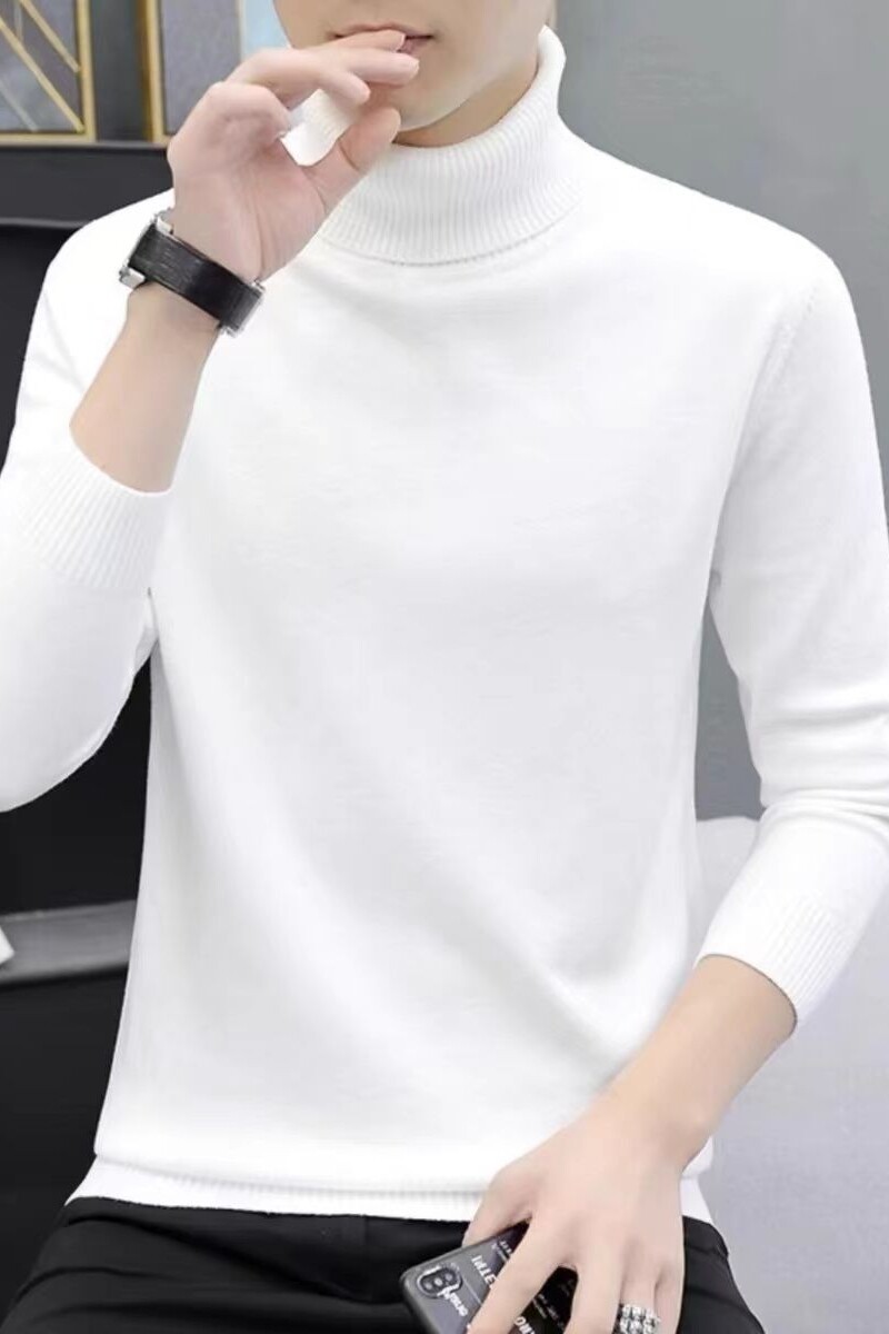 1506/Q16020/P29纯色简约毛衣男圆领修身秋冬款内搭线衣打底衫1,男装T恤,星座1506