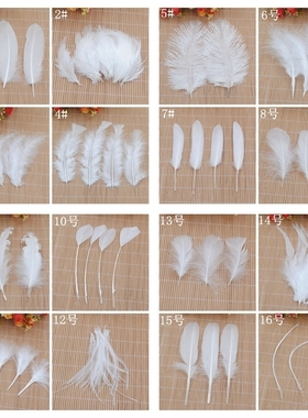 38个款diy饰品配件幼儿园材料羽毛 白色婚庆羽毛 火鸡毛鹅毛 50根