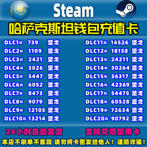 SteamKZ坚戈充值卡自动发货