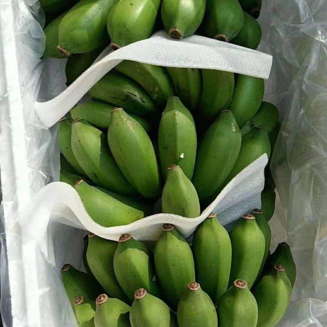 正宗广西小米蕉产地直发香蕉新鲜水果皇帝蕉非苹果蕉芭蕉当季孕妇