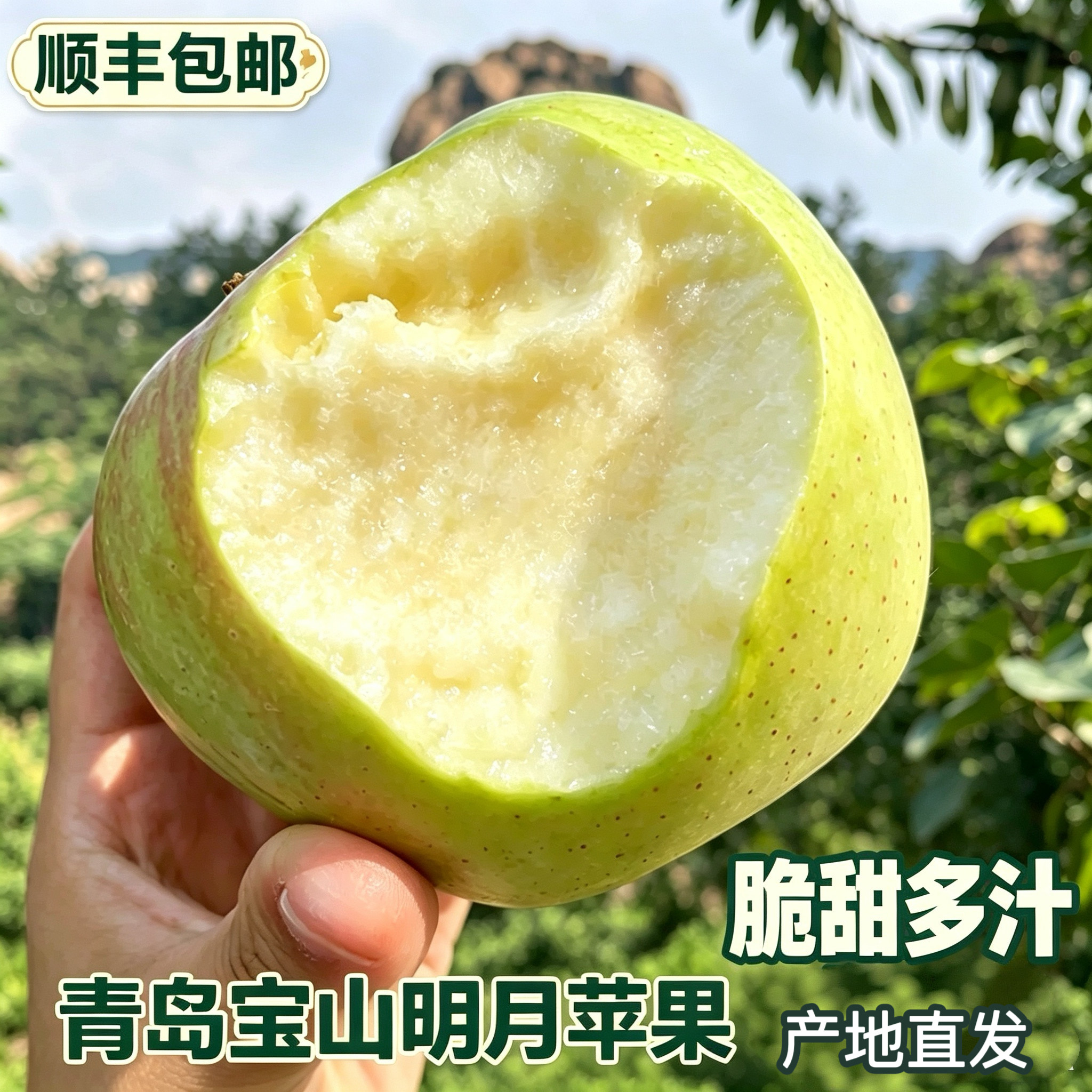 正宗宝山明月苹果脆甜顺丰包邮