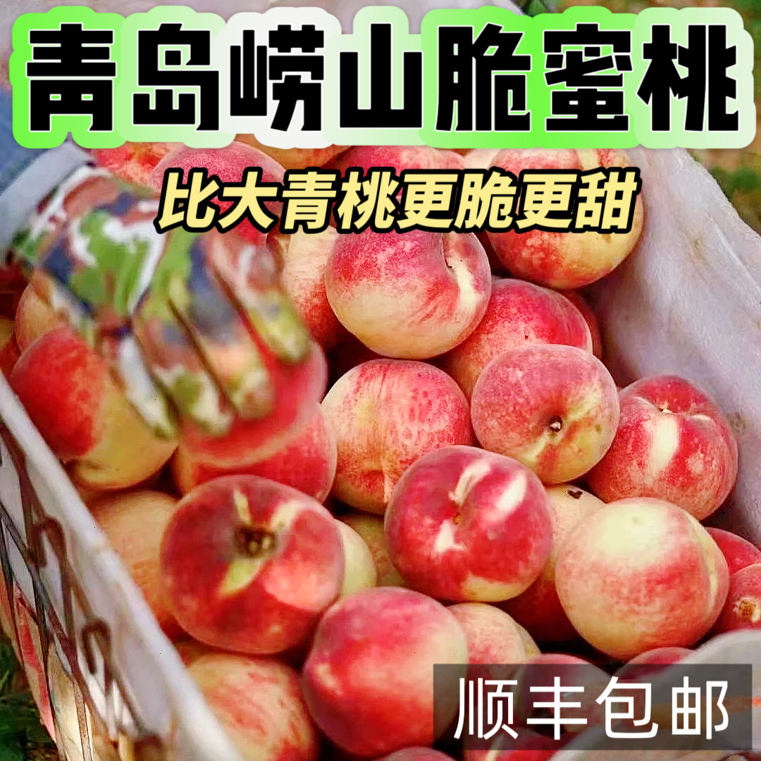 正宗青岛寒露蜜桃子红心硬桃脆甜