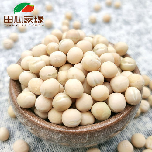 新豆大颗粒豌豆50斤散装称重